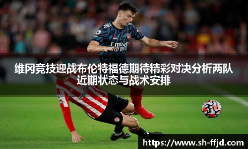 龙8国际