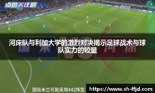 龙8国际